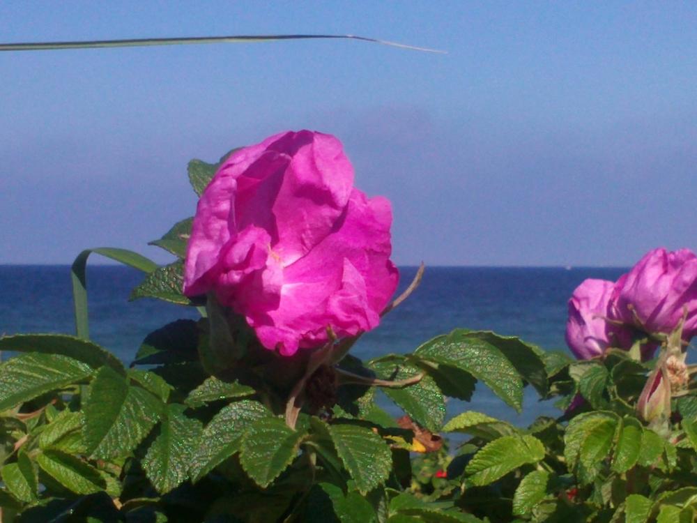 Biografisches Schreiben am Meer