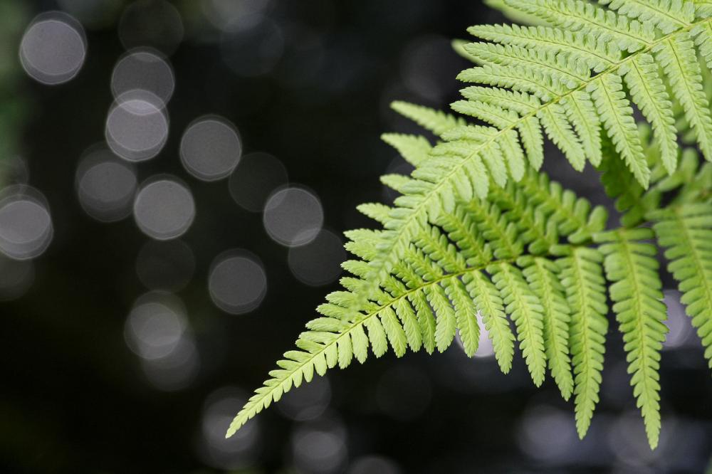 Balance im beruflichen Alltag mit Yoga