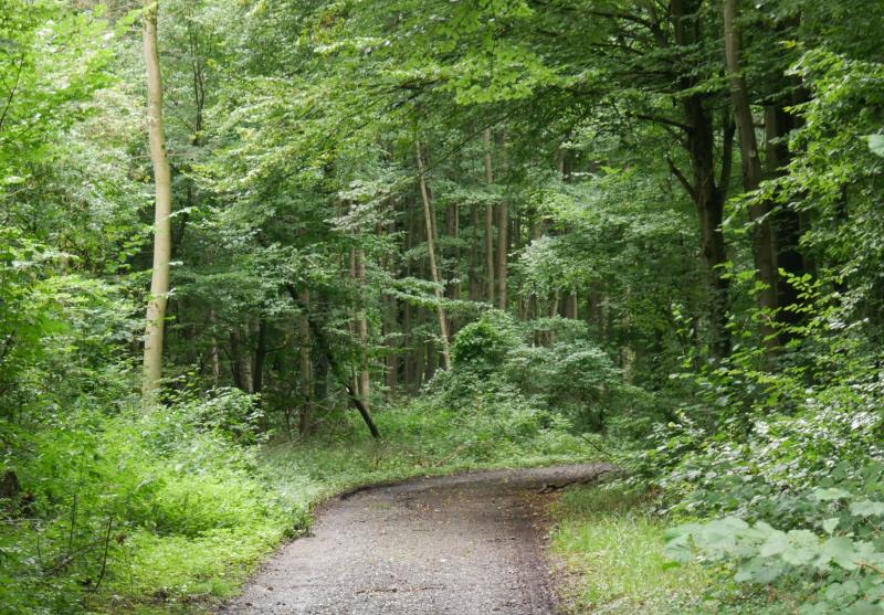 Pilgern an Pfingstmontag