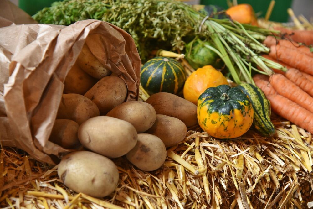 Gemüse fermentieren