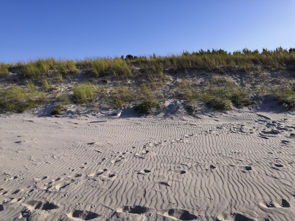 Kinderfreizeit auf Spiekeroog