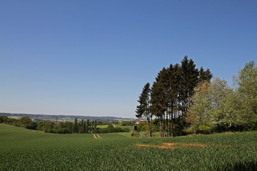 „Prüft alles und behaltet das Gute