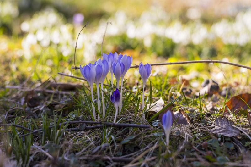 Stadtbuspilgern in der Passionszeit